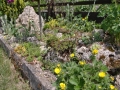 Podléšková zahrada pod Řípem IMG_3561
