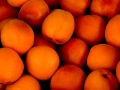 apricot-1556851_1280