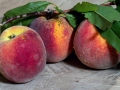 fruit-943402_1280