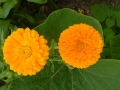 P1070077
