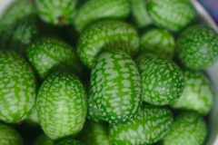 gherkin-861550_1280