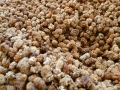mulberries-64903_640