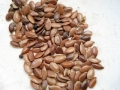 plant-seed-food-produce-vegetable-crop-999513-pxhere.com
