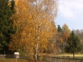 Podzimní zahrada v jižních Čechách IMG_2722