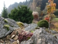 Podzimní zahrada v jižních Čechách IMG_2819