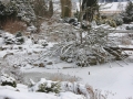 Zahrada pod sněhem IMG_7327