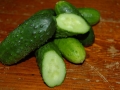 cucumbers-950666_1280