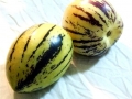 538px-Ripe_pepinos
