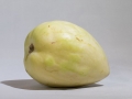Pepino_melon