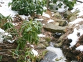 Pestrá zahrada v zimě Untitled-49