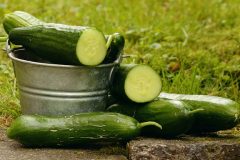 cucumbers-1588945_640