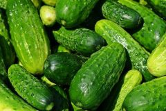 cucumbers-849269_640