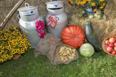 fruit-flower-food-harvest-produce-autumn-1101027-pxhere.com_