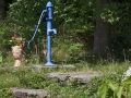 Pumpy a studně na zahradě IMG_8493