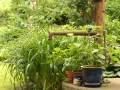 Pumpy a studně na zahradě IMG_8605