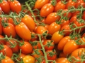 tomatoes-1025550_1280