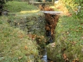 Přírodní zahrada u mlýna IMG_9175