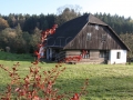 Přírodní zahrada u mlýna IMG_9244