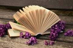 book-760021_640
