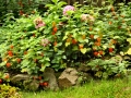 Karlovarská zahrada v pozdním létě IMG_7362