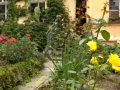 Karlovarská zahrada v pozdním létě IMG_7454