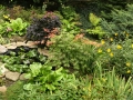 Karlovarská zahrada v pozdním létě IMG_7500
