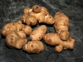 Helianthus_tuberosus_(rhizomes)