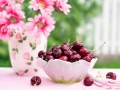 cherries-in-a-bowl-773021_1280