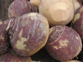 turnips-for-sale-1-1326150-639x852