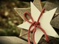 poinsettia-1775361_640