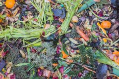 compost-1136403_1280