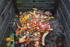 dish-meal-food-meat-barbecue-cuisine-775929-pxhere.com_
