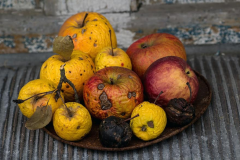 Screenshot_2020-12-07-still-life-apple-shell-ripe-fruit-dry-Pikist