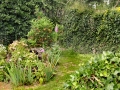 Pitoreskní zahrada na Vysočině IMG_9889