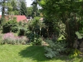 Pitoreskní zahrada na Vysočině IMG_9913