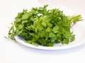 parsley-3450411_640