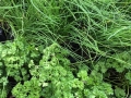 textures-1665847_640