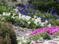 Zahrada na selském dvoře foto 14