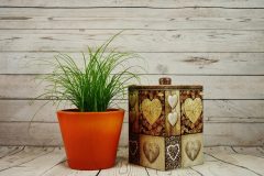 flowerpot-2031773_1280