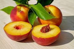 peach-2573836_640