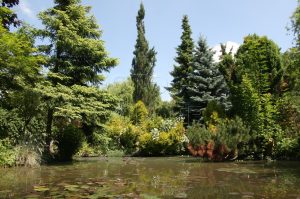 Jezírková zahrada slouží především k odpočinku