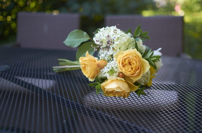 Anglické růže Graham Thomas, mavuně a hortenzie.