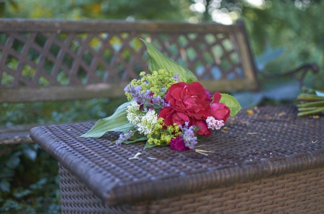 Růže, kontryhel, mavuň, rdesno, šalvěj, bohyška, chrastavec.