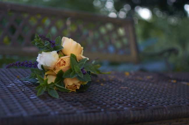 Anglické růže Graham Thomas v kombinaci s mátou.