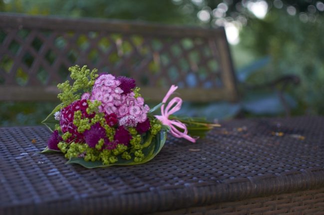 Jednoduchá vazba z hvozdíků, chrastavců a kontryhele měkkého.