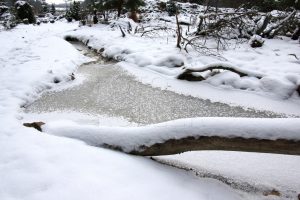 Krása zamrzlého potoka