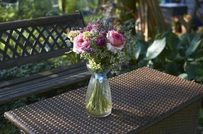 Anglické růže, dobromysl, chrastavce, levandule, sporýš argentisnký.