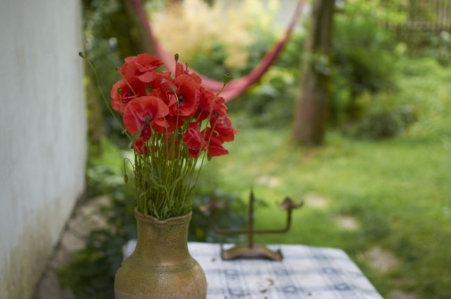 Květinová vazba z vlčích máků.