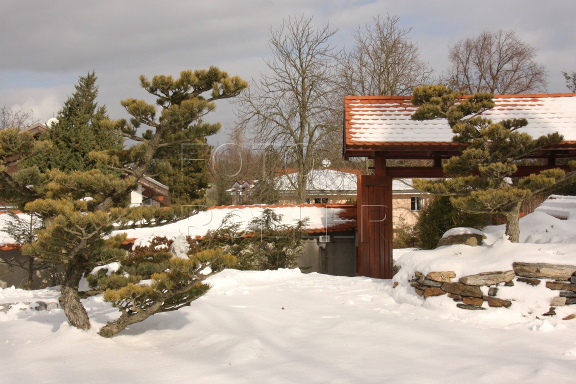 Japonská zahrada pod sněhem