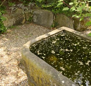 Kamenné nádrže zadržují měkkou vodu na zalévání